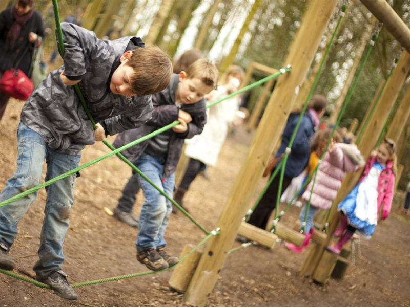 Children playing on an adventure course at Tatton Park