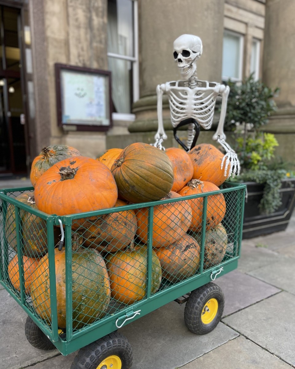 Halloween decorations, pumpkins and a skeleton