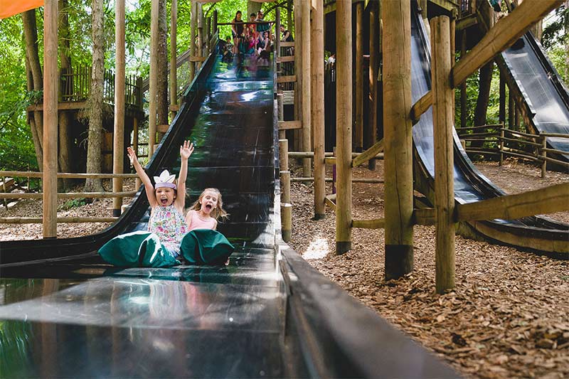 Children on a slide at BeWILDerwood